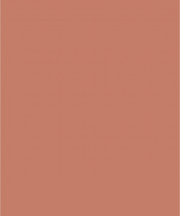 Farrow and Ball Red Earth...