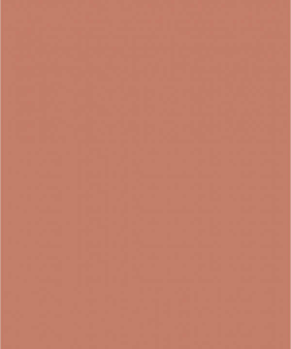Farrow and Ball Red Earth No. 64