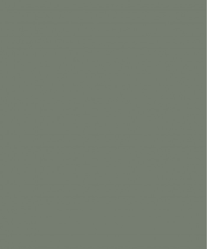 Farrow and Ball Green Smoke...