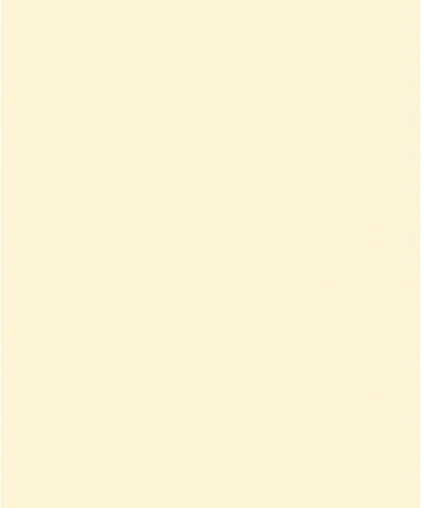 copy of Farrow and Ball Yellow Ground No.218